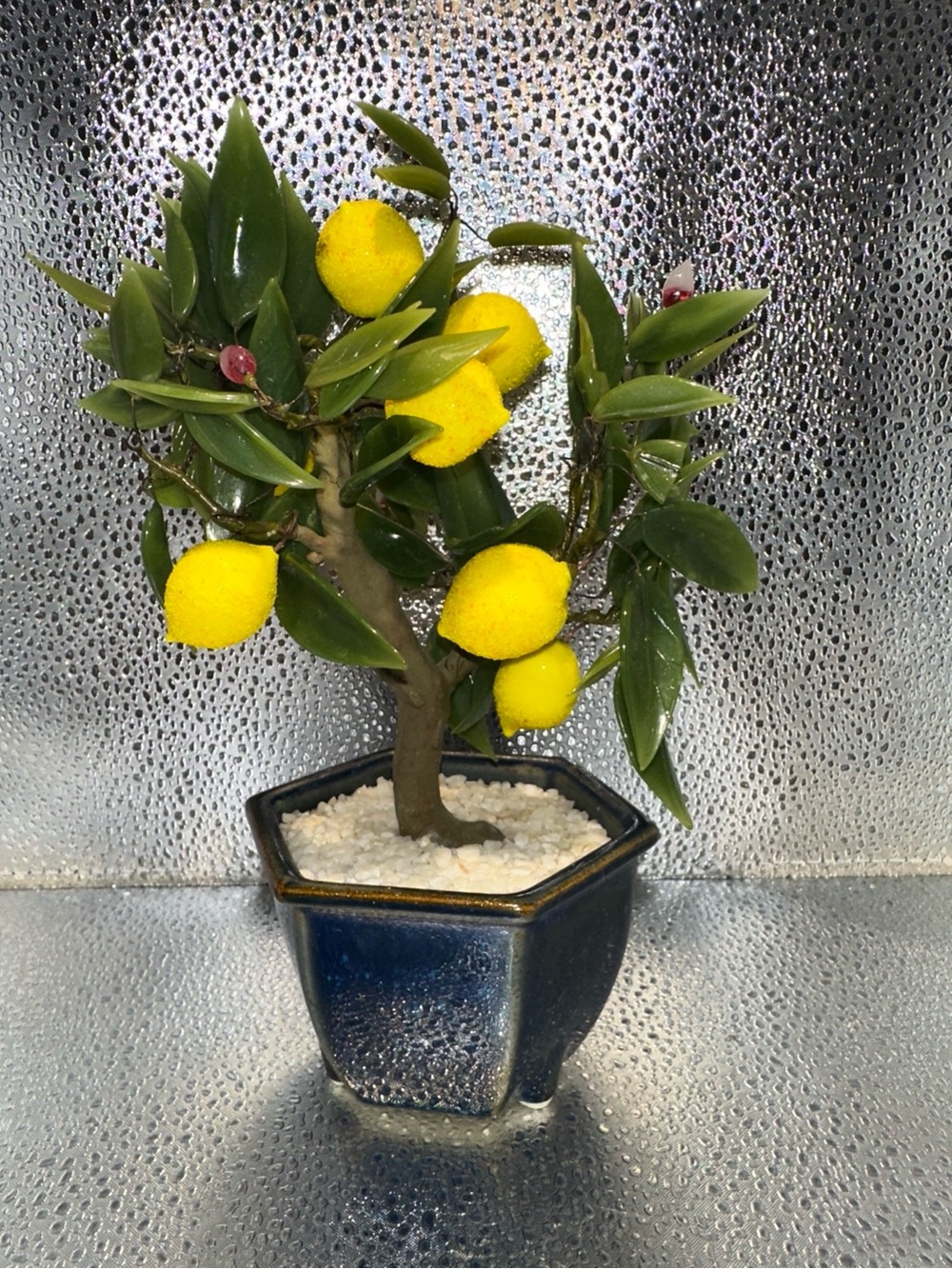Bonsai jade lemon tree vintage